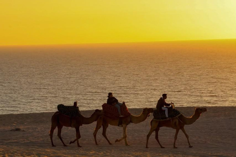 Agadir/Taghazout: Berber Village, Quad Bike & Sandboarding Berber Village, Sandboarding