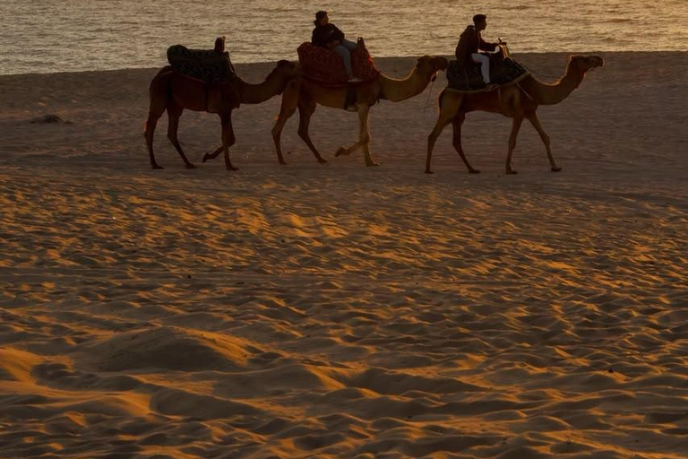 Agadir/Taghazout: Berber Village, Quad Bike & Sandboarding Berber Village, Sandboarding