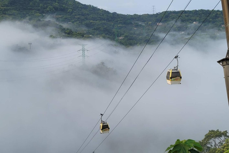 Taipei: Zoo, Maokong Gondola, and Experience Ticket