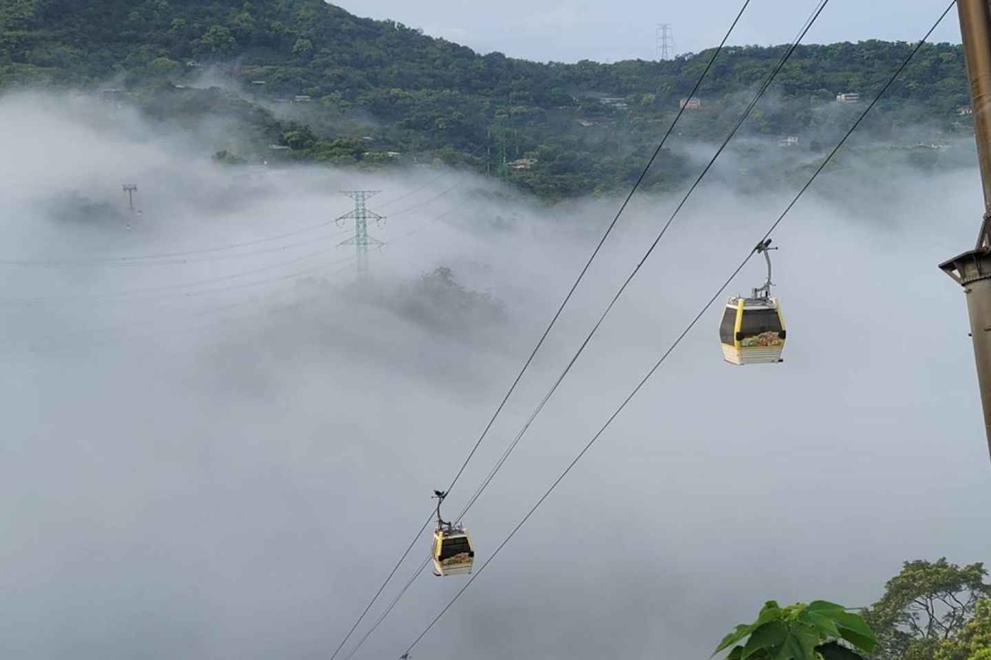 Taipei: Zoo, Maokong Gondola, and Experience Ticket - Taipei: Zoo, Maokong Gondola, and Experience Ticket