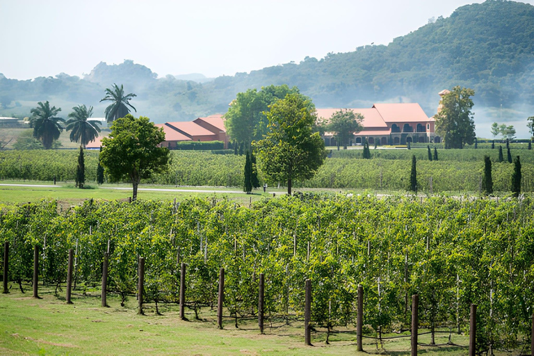 Pattaya Off-the-Beaten-Path Private Day TourGroup of 3 Persons