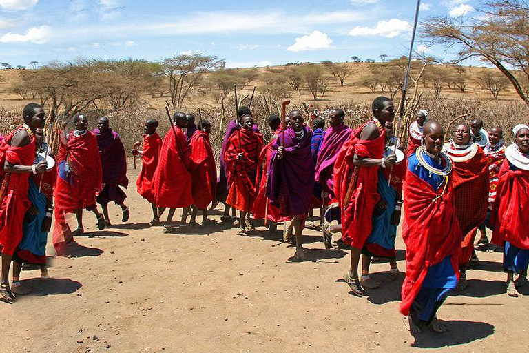 Arusha : Circuit de 2 jours à la découverte de la culture Maasai et de la forêt des Hautes Terres