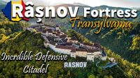 One Day Trip Bear Sanctuary, Dracula Castle, Rasnov Fortress - Housity