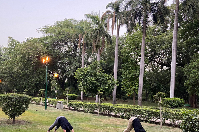 Nuova Delhi: Yoga rilassante al sole nei giardini di Lodhi