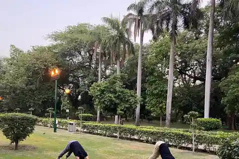 New Delhi: Soul Soothening Sun Yoga in Lodhi Gardens