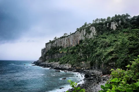 Jeju Island South Route One-day tour (optional attractions)
