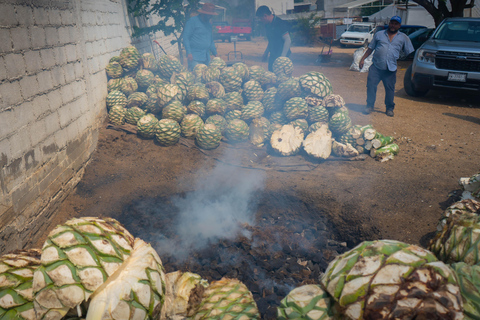 Oaxaca: Sustainable Mezcal Tour at an Award-Winning Family Distillery