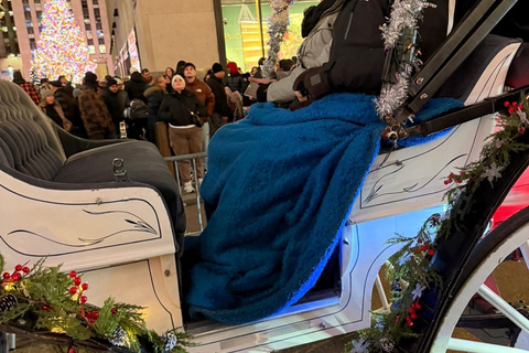 NYC: Central Park Christmas Lights Horse-Drawn Carriage Ride