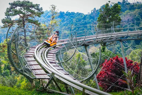 Chiang Mai: Pongyang Jungle Coaster and Zip Line Tour