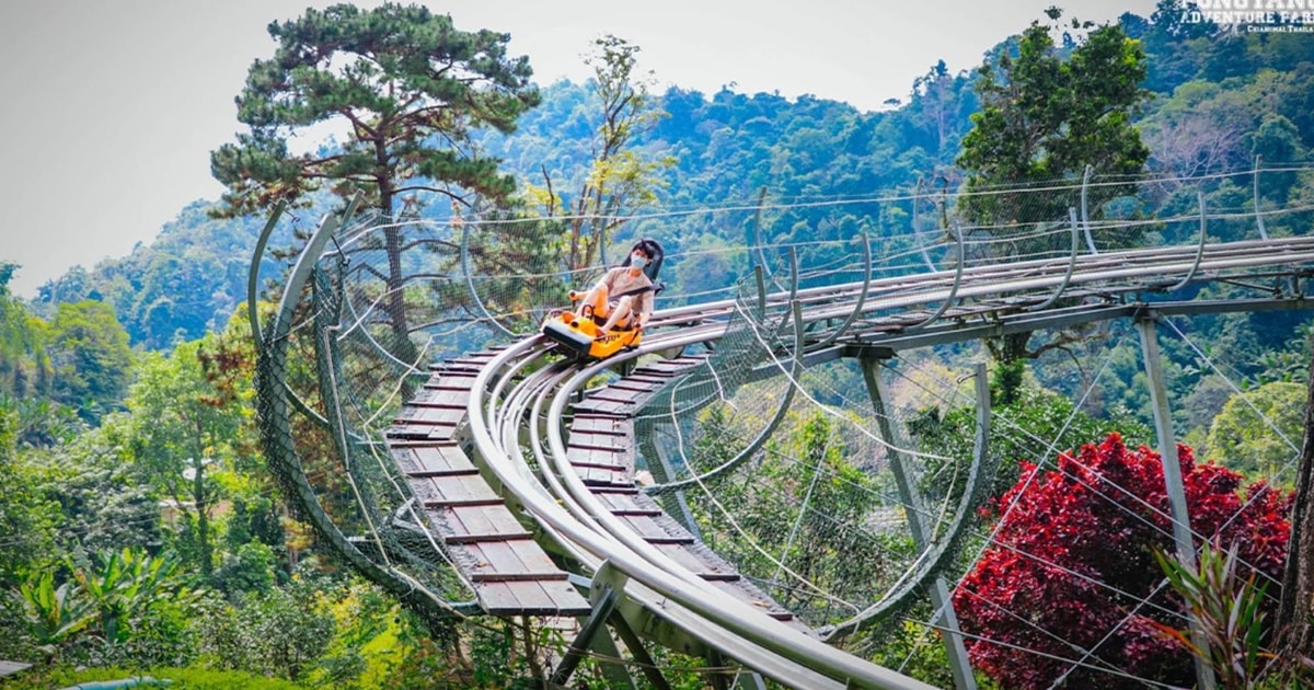 Chiang Mai Pongyang Jungle Coaster And Zip Line Tour Getyourguide 1905