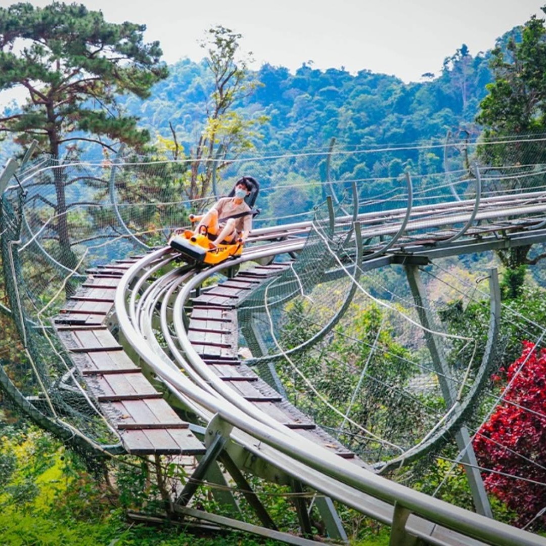 チェンマイ：ポンヤン ジャングル コースターとジップライン ツアー