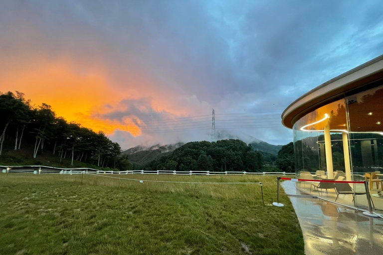 Gyeonggi: Alpaca & Sheep Ranch Admission Ticket in Gapyeong