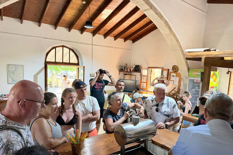 帕福斯半日游（免费品酒）- 最多7人 - 全程空调帕福斯半日游（免费品酒，最多 7 人，全程空调）