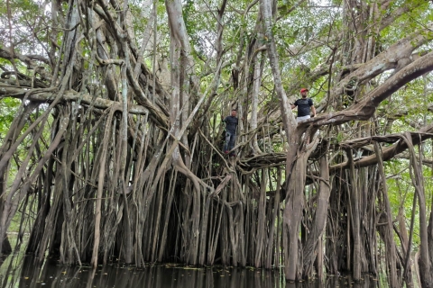 Iquitos: 3d2n jungletocht nationaal reservaat Pacaya SamiriaIquitos: 3d2n Amazonetour Nationaal reservaat Pacaya Samiria