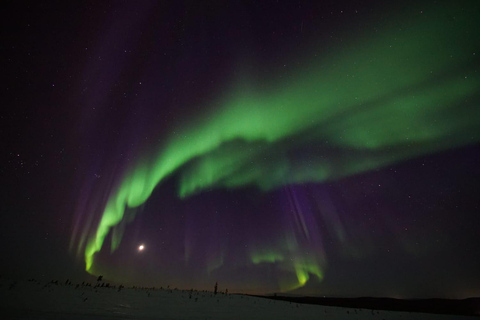 Saariselkä: Auroras Northern Lights Viewing & Photographing