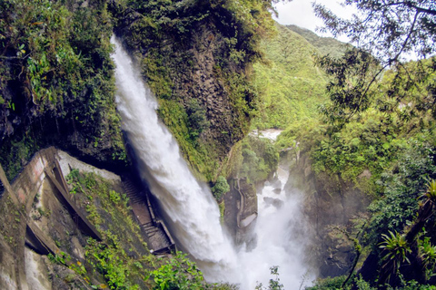 From Quito: Andes and Amazon 5-Day Adventure with Meals
