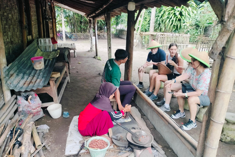 Yogyakarta:Pindul Cave, tubing & Plaosan Temple Cycling Tour Pindul cave Only