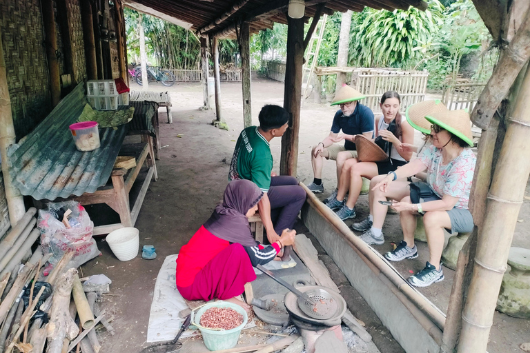 Yogyakarta:Pindul Cave, tubing & Plaosan Temple Cycling Tour Pindul cave Only