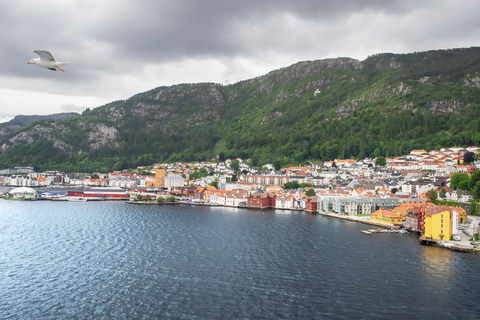 Bergen stadsrondleiding met gids