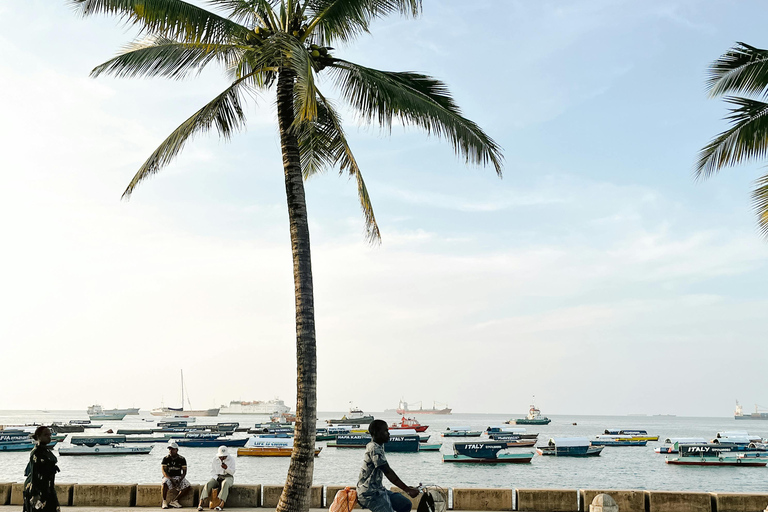 Zanzibar: Stone Town & Prison Island Adventure With Tortoise Island-Wide Pick-Up + Entry Fees Included