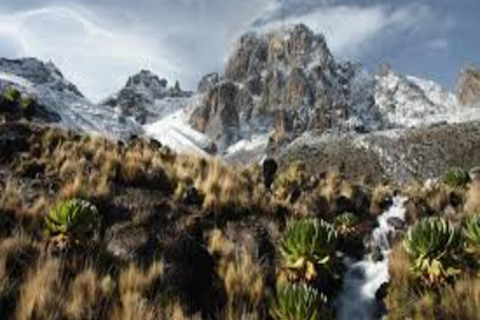 Nairobi: 6-Day Mount Kenya Climb via Chogoria Route