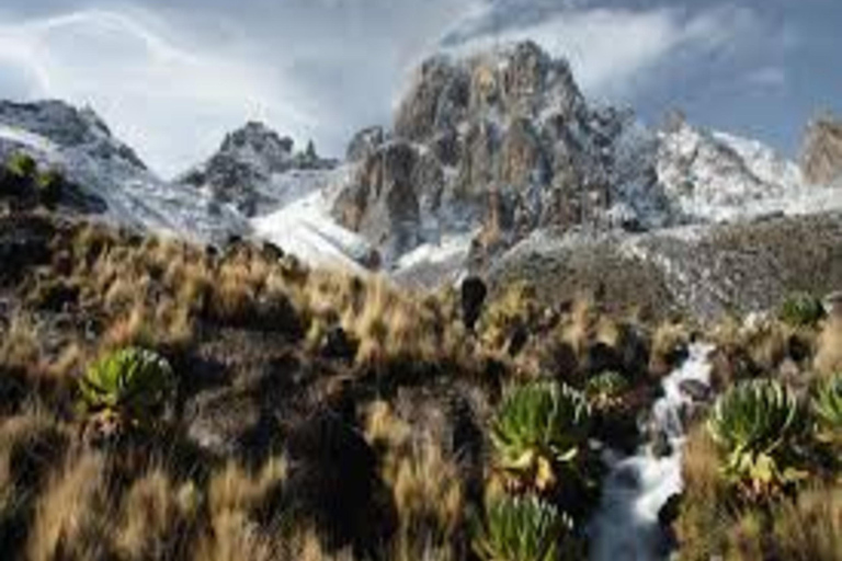 Nairobi: 6-Day Mount Kenya Climb via Chogoria Route
