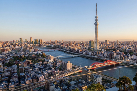 Tokyo: Private Tour: TeamLab, Pokémon & Skytree Customized B itinerary full day customizable Tokyo sightseeing.
