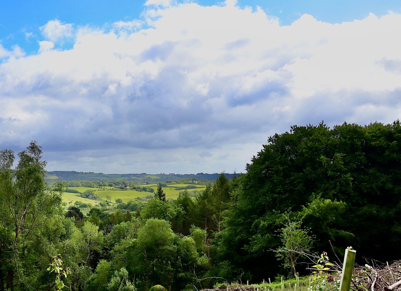 Dartmoor: Guidede byvandringer