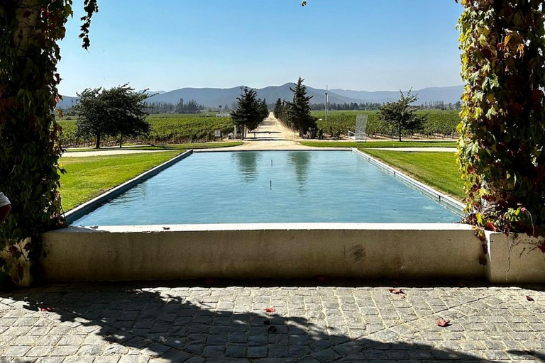 Desde Santiago: Ruta del Vino Valle de Casablanca y Valparaíso