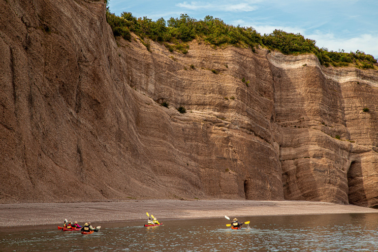 Saint John: Guided Kayaking Tour of St. Martins Sea Caves Sea Caves Half-Day Kayak Tour