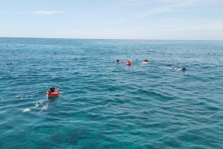 Speerfischen auf den Bahamas4-Stunden-Tour