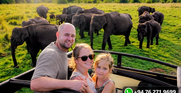 Udawalawe Safari & Transit Home Pickup and Drop-off Any City