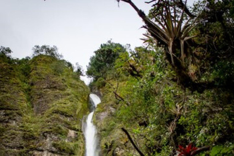 Overnight Safari to Aberdare National park from Nairobi