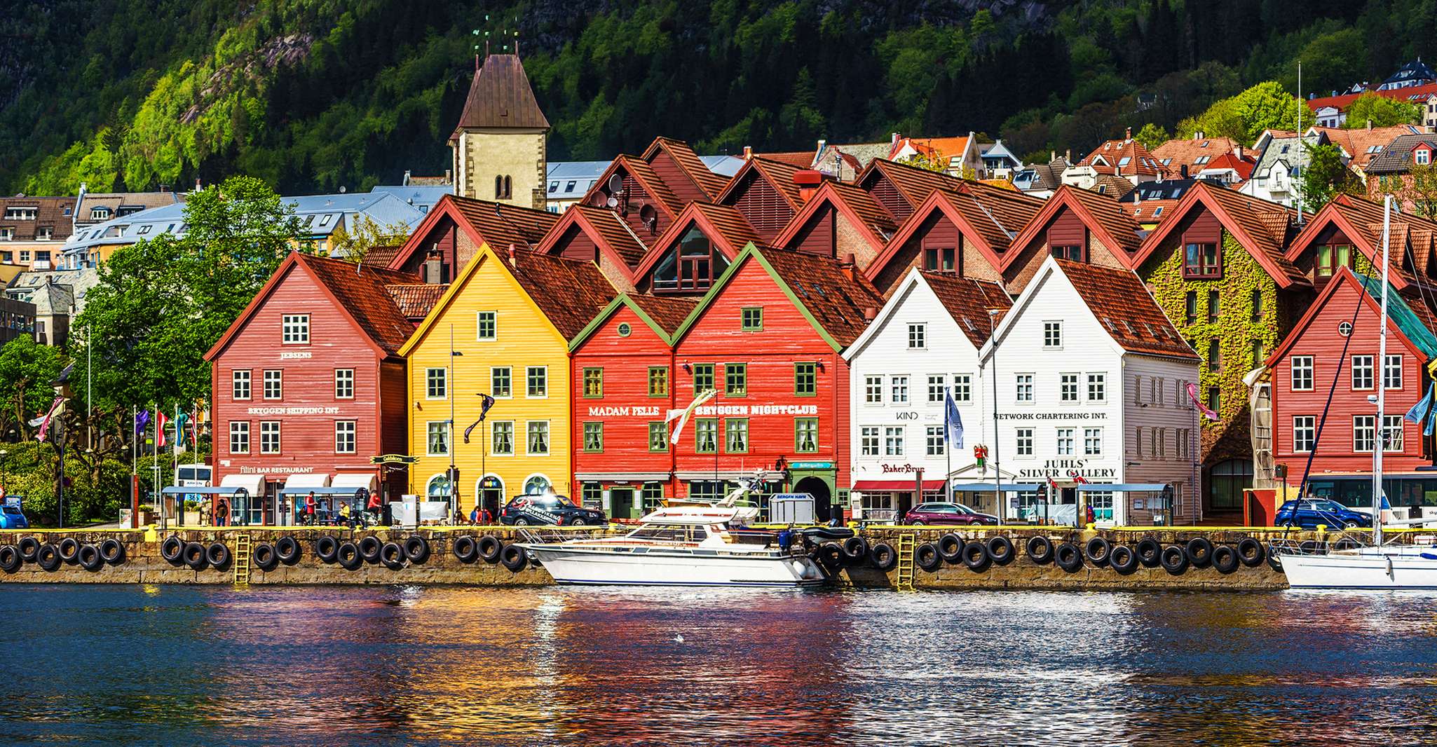 From Bergen, Sightseeing Fjord Cruise to Alversund Strait - Housity