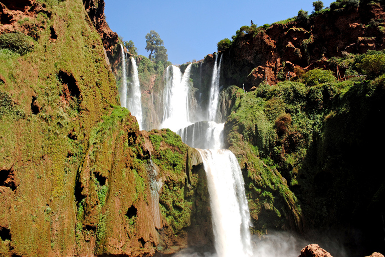 From Marrakech: Ouzoud Waterfalls Guided Hike and Boat Trip