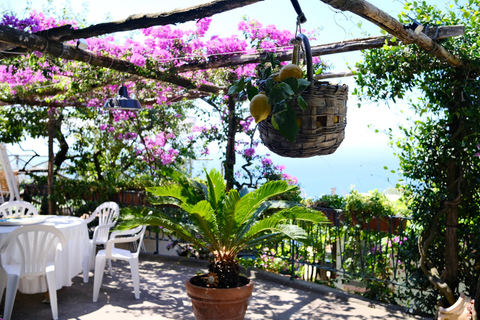 Sorrento: Marì Cooking Class in a Family Farm w/ Coast View