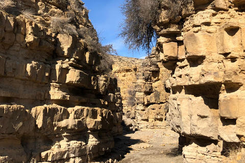 يريفان: جولة في خور فيرب، ووادي الملائكة، ووادي أرارات