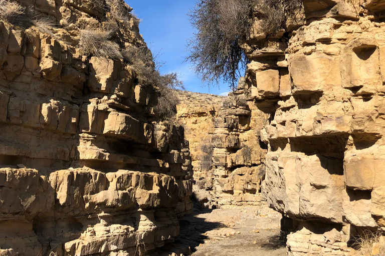 يريفان: جولة في خور فيرب، ووادي الملائكة، ووادي أرارات