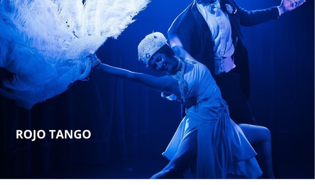 Buenos Aires: "Rojo Tango - Most Exclusive and VIP Tango Show all inclusive