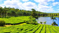 Mauritius, Private Full-Day South Mauritius Tour - Housity