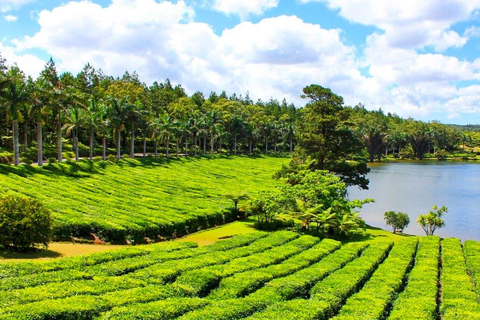 Mauricio: Tour privado de un día por el sur de Mauricio