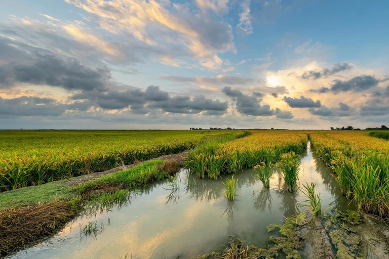 From Alicante: Day Trip to Valencia and the Albufera with Boat Ride From Alicante in English