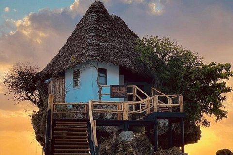 Zanzibar holiday tour: Jozani, Salaam cave, Paje & The rock Private tour with hotel pick-up and drop-off