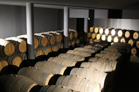 Porto: Private Transfer to Douro Valley up to 4 Stops 4-Stops (One-way trip)