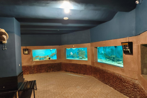 Hurghada: Hurghada City Tour with optional Red Sea Aquarium Group Hurghada City Tour