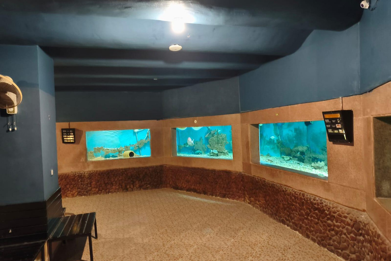 Hurghada: Hurghada City Tour with optional Red Sea Aquarium Group Hurghada City Tour