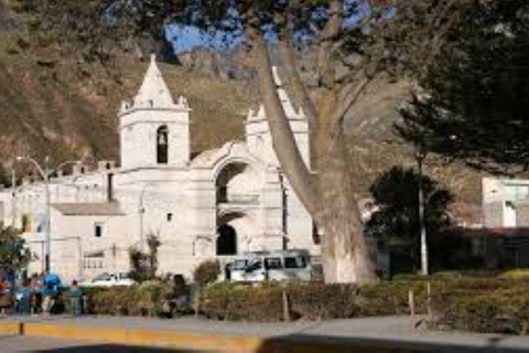 Arequipa : Excursion de 2 jours au Canyon de Colca avec fin à Puno