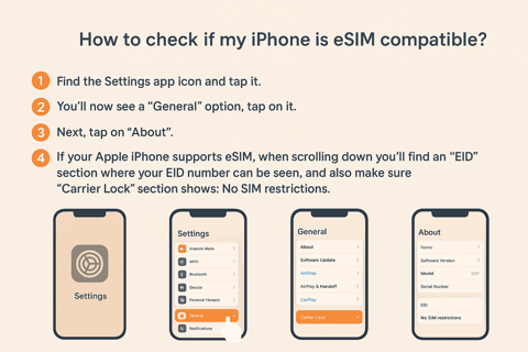 Tbilisi: Unlimited eSIM + City Transport Card & Guidebook