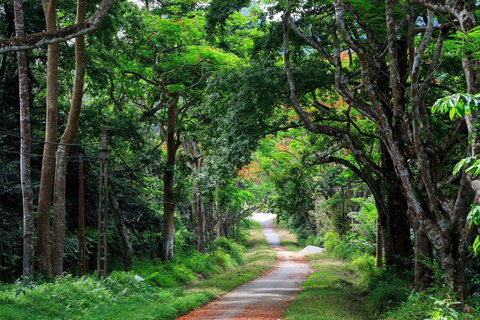 Private Cuc Phuong National Park Tagestour mit weiblichem Guide