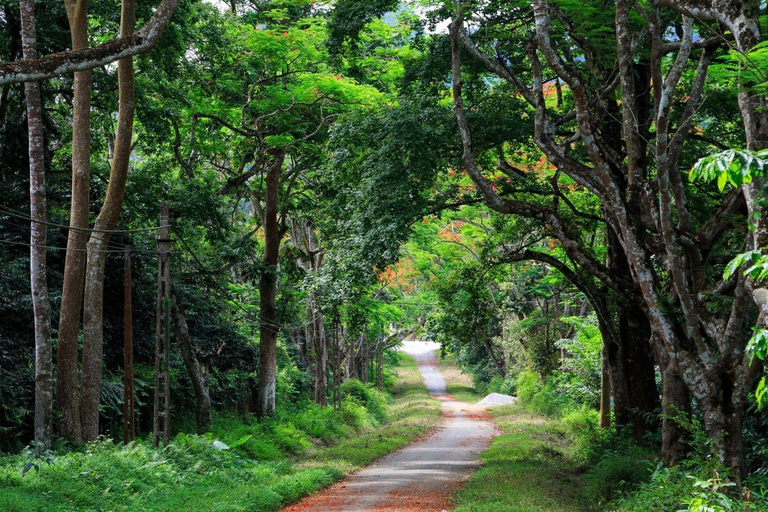 Private Cuc Phuong National Park Tagestour mit weiblichem Guide